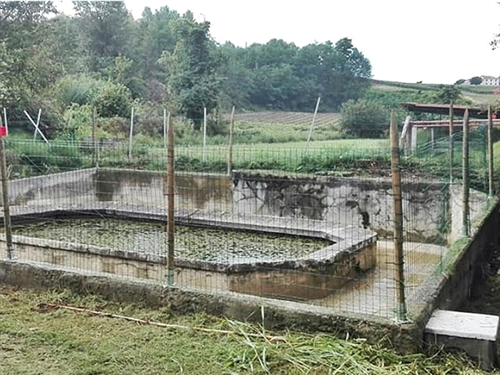 Antico lavatoio pubblico