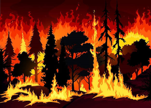 Stato Massima Pericolosità Incendi Boschivi In Piemonte